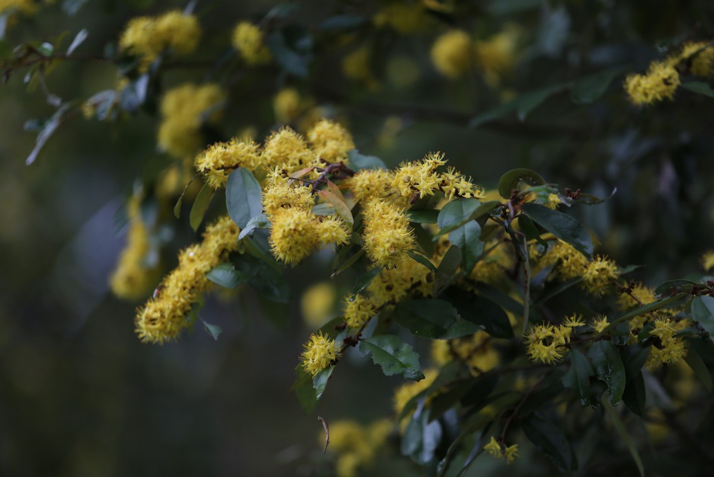 FILE-20250922-1401FQRERQBL2DDJ