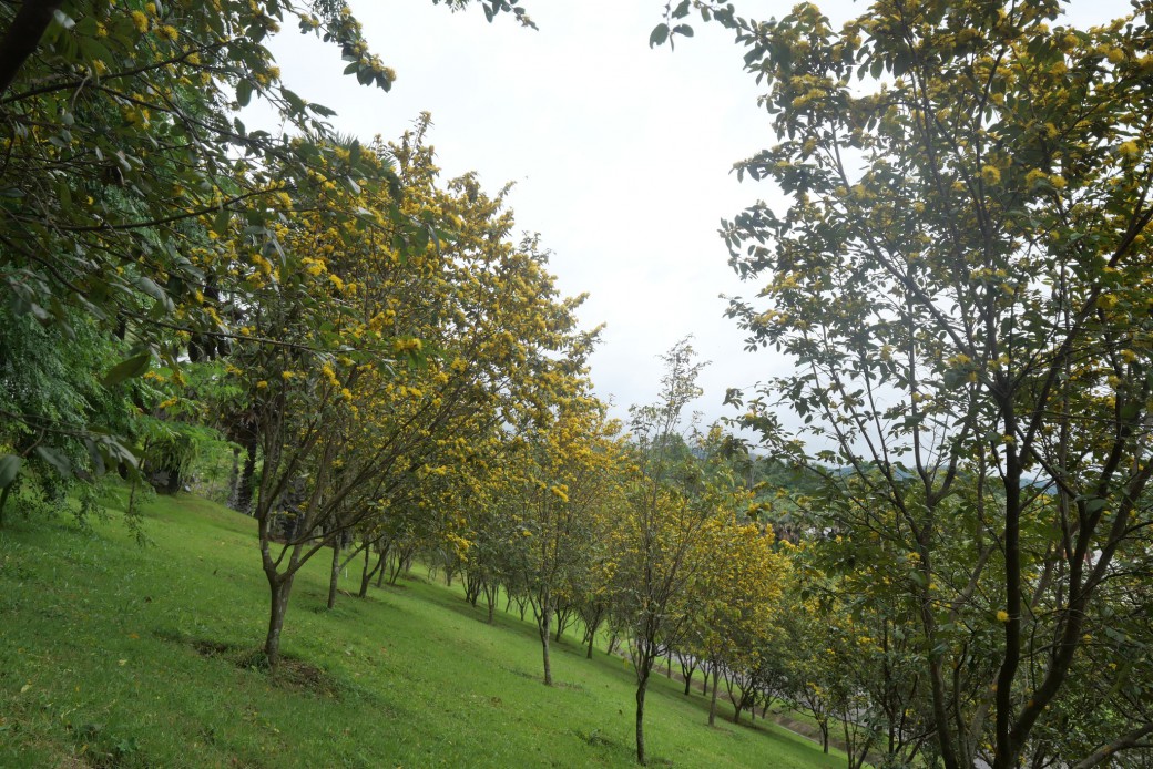 FILE-20250922-1402UXBQP77PNW6L