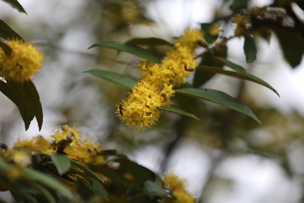 FILE-20250922-1412FMFY8MCJL1S3