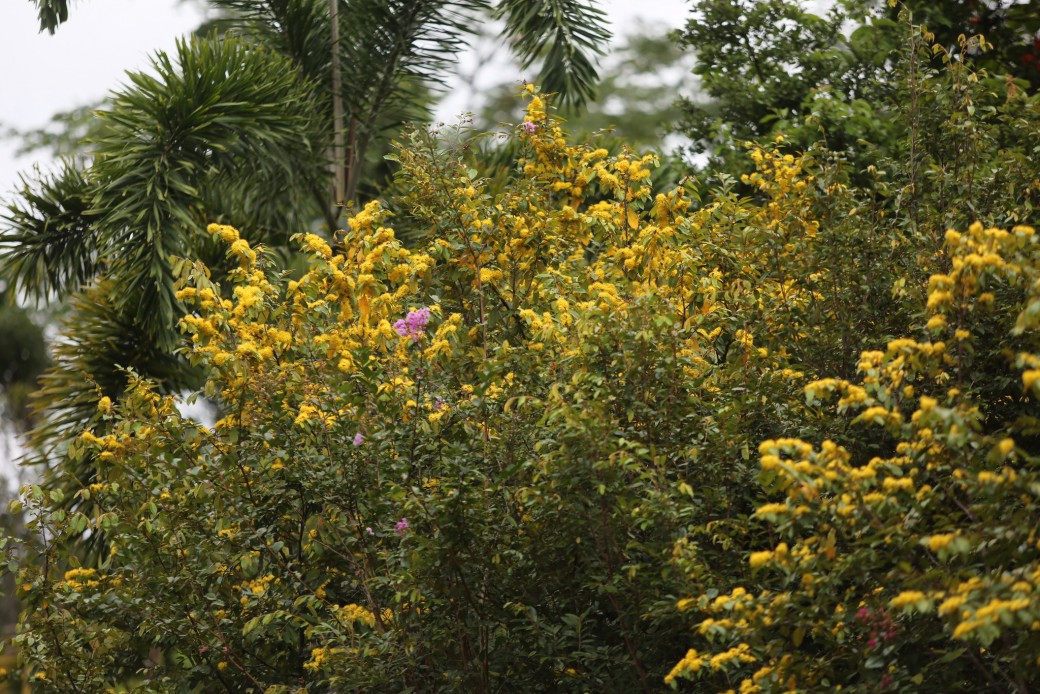 FILE-20250922-1412J95KT95J5JC6