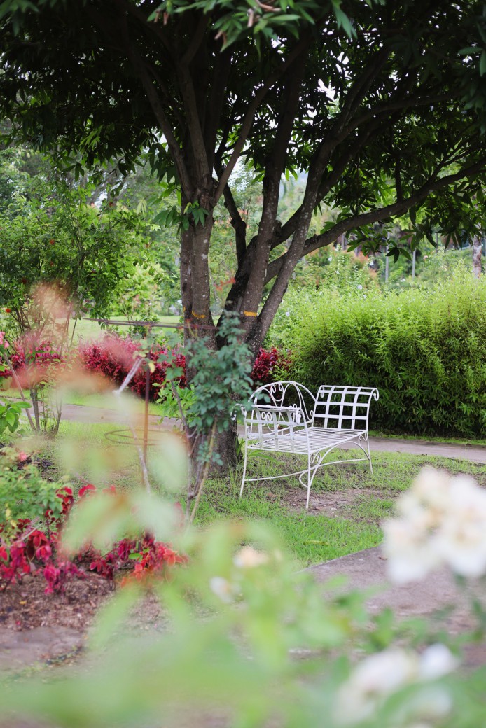 FILE-20250922-14229XYM1C6FMDNH