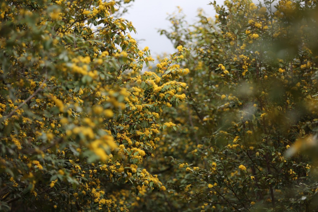 FILE-20250922-1422CKV8F4BKPK3P