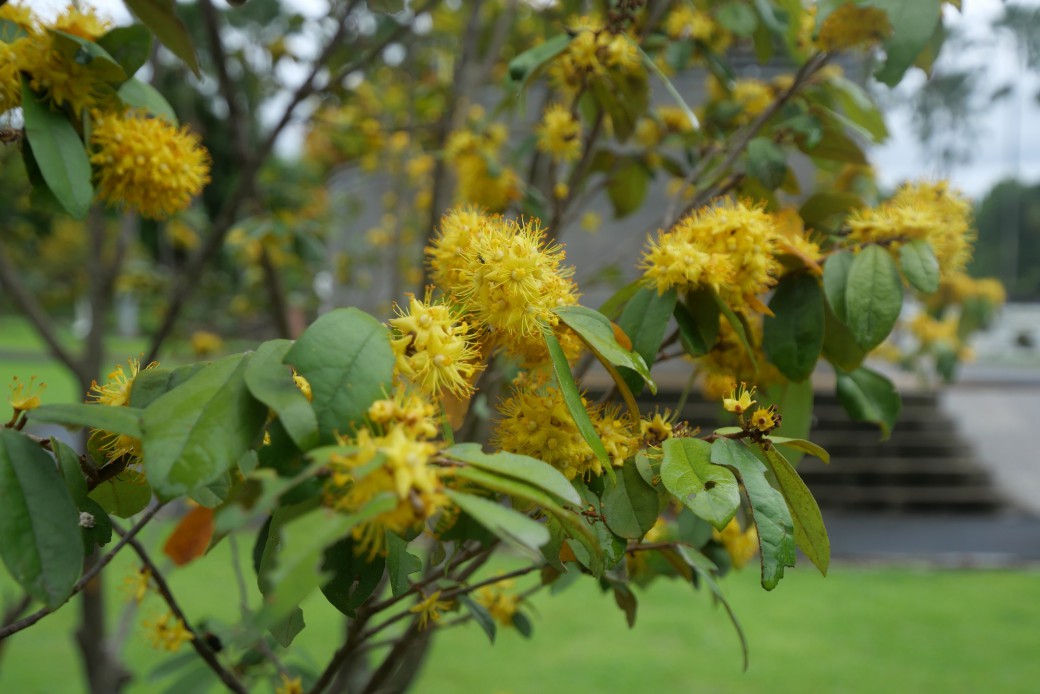 FILE-20250922-1424MPRGRF4SL9A4