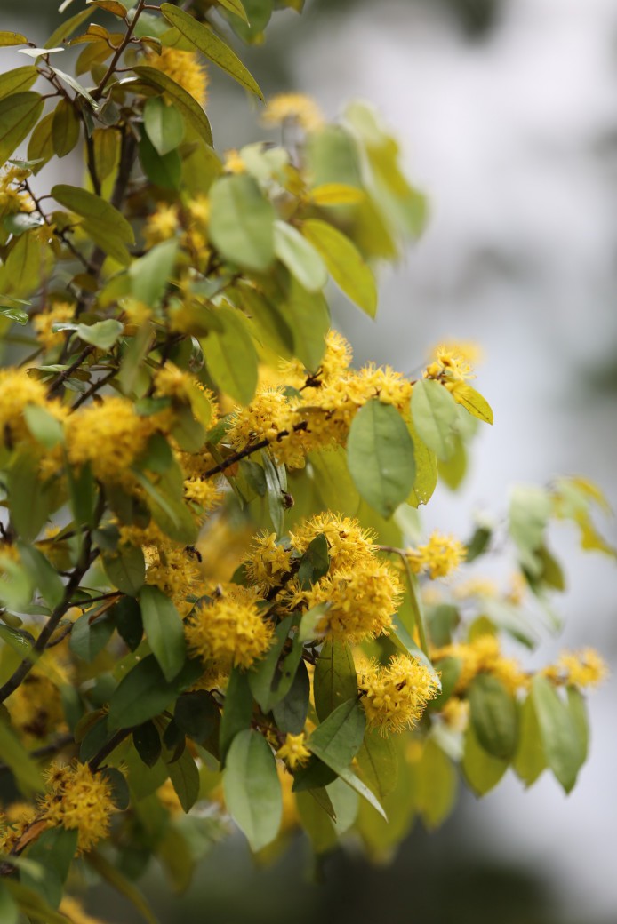 FILE-20250922-142585K25NRXUDNJ