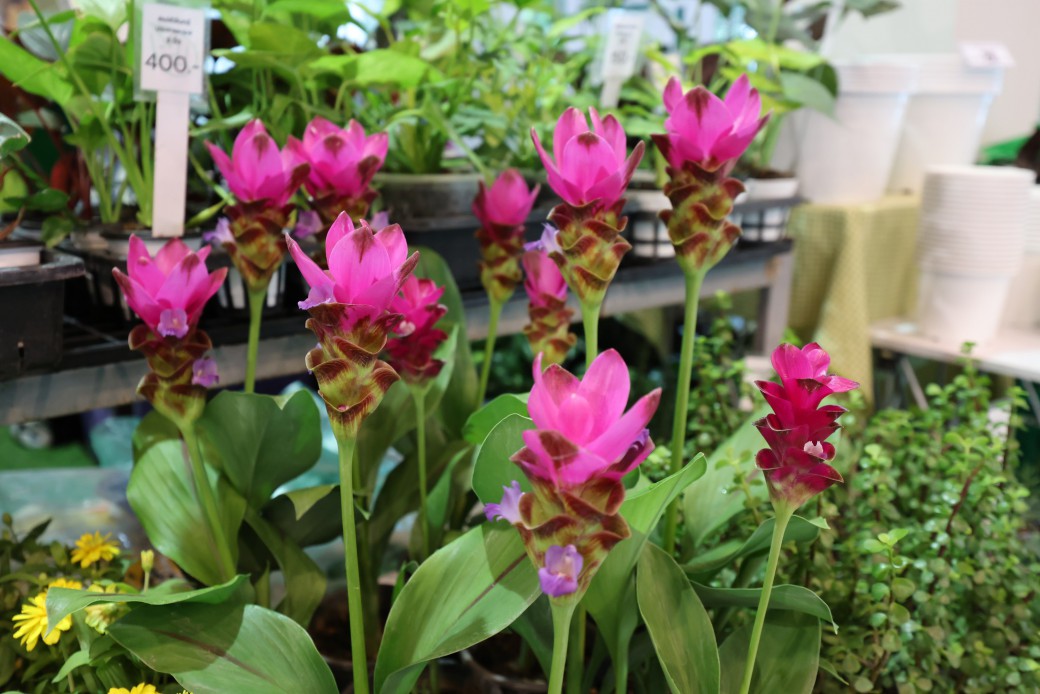 FILE-20250922-1427HW9G487MLXJS