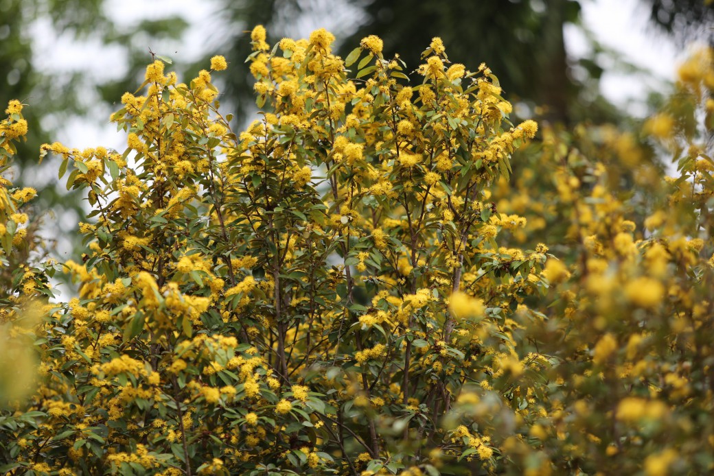 FILE-20250922-1432QMQQEEYNS99M