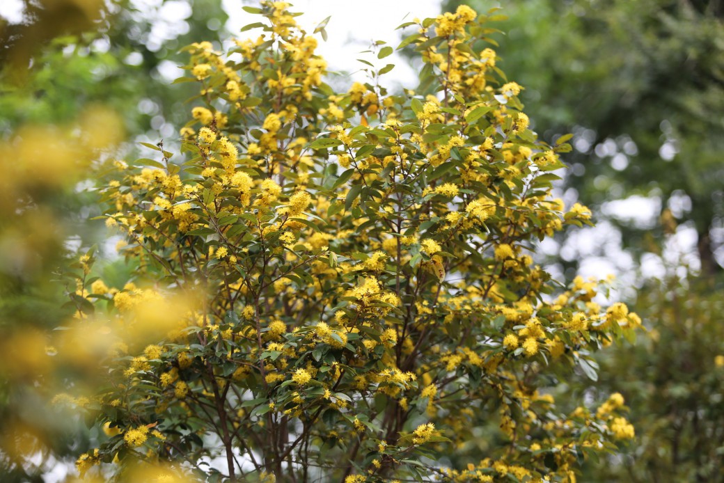 FILE-20250922-14428PVHCEJVVWQC