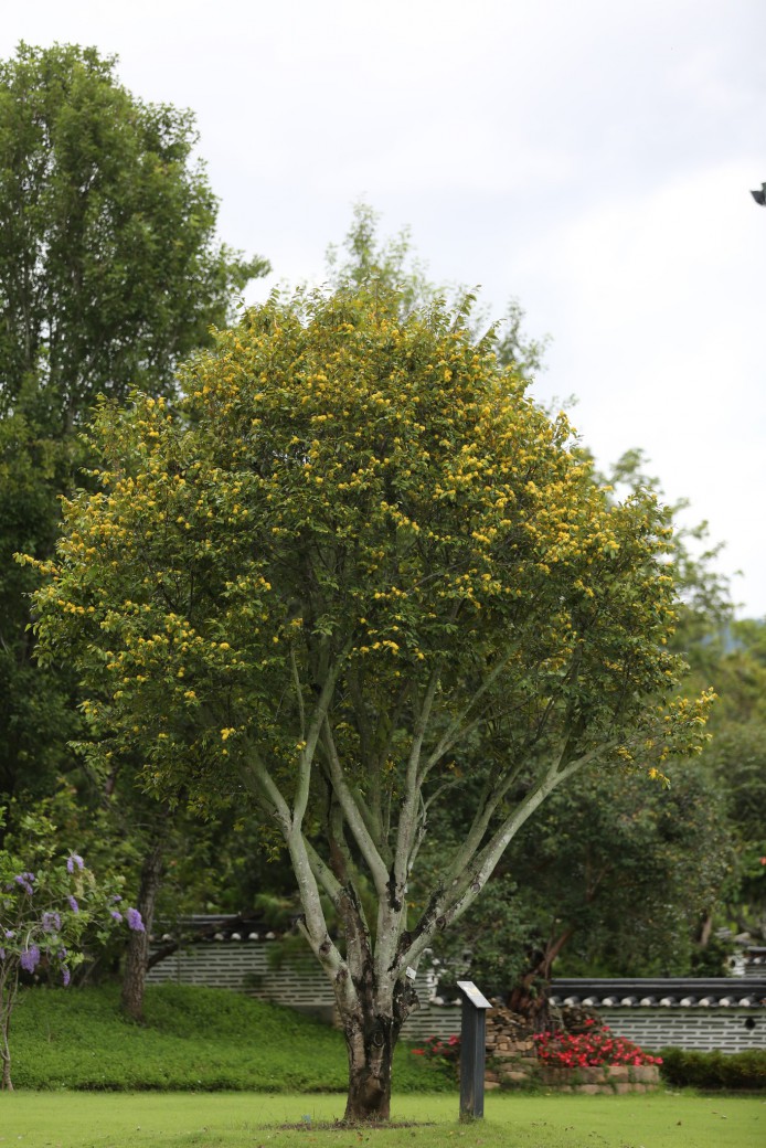 FILE-20250922-1442U47DGPJ6FT1K