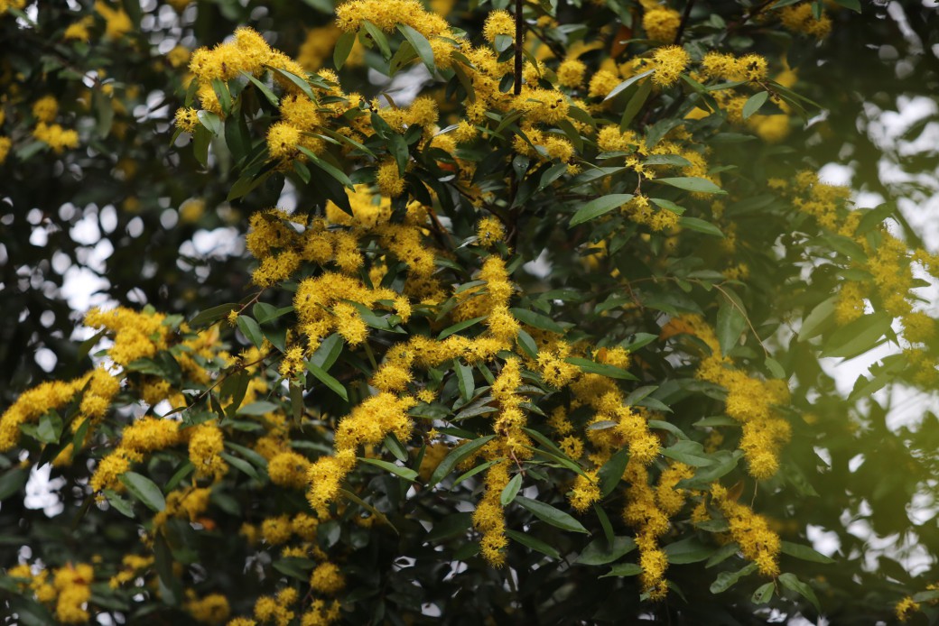 FILE-20250922-1444WLL9DXGLLQZJ