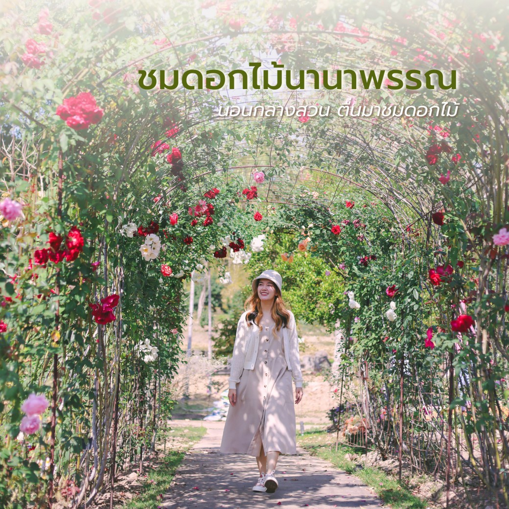 FILE-20250922-1449RSR73SZ5QT28