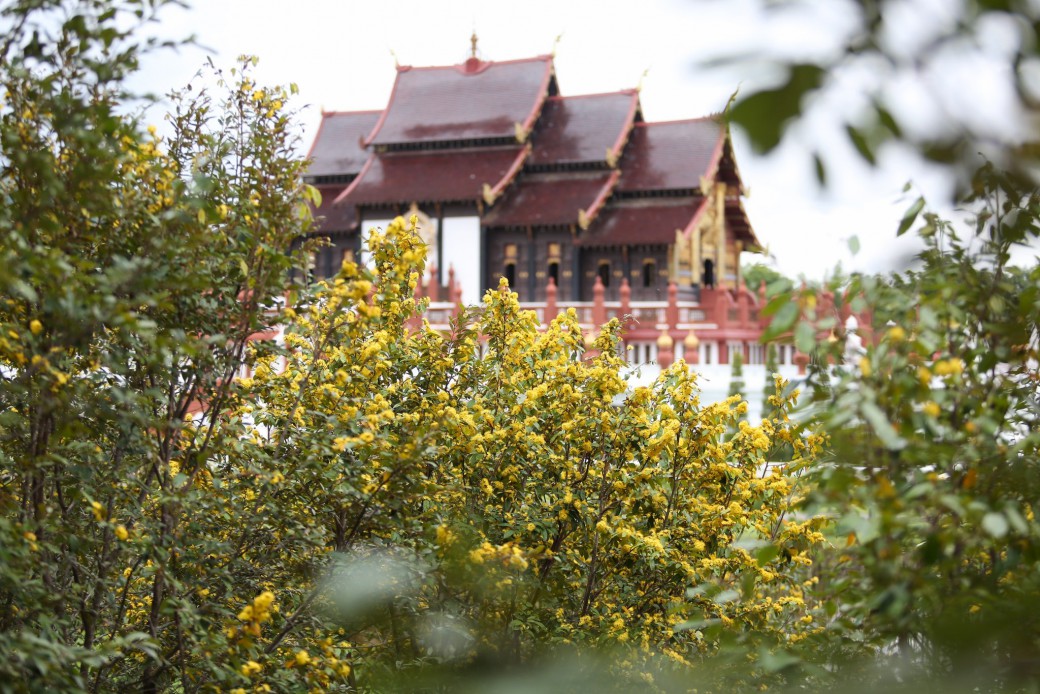 FILE-20250922-1452XMQBBZUUSA5M