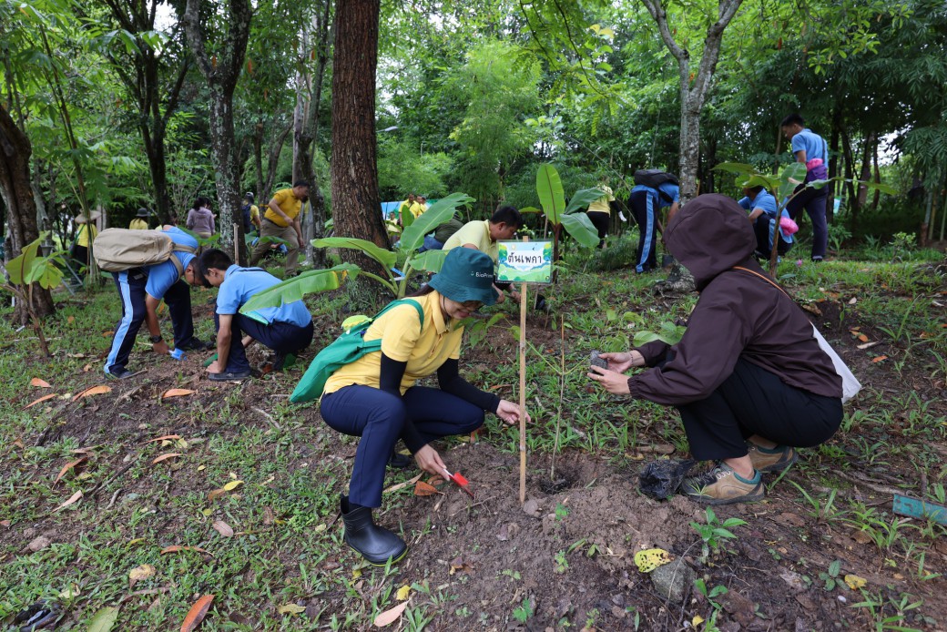 FILE-20250922-14557LDF5BV1GRCU