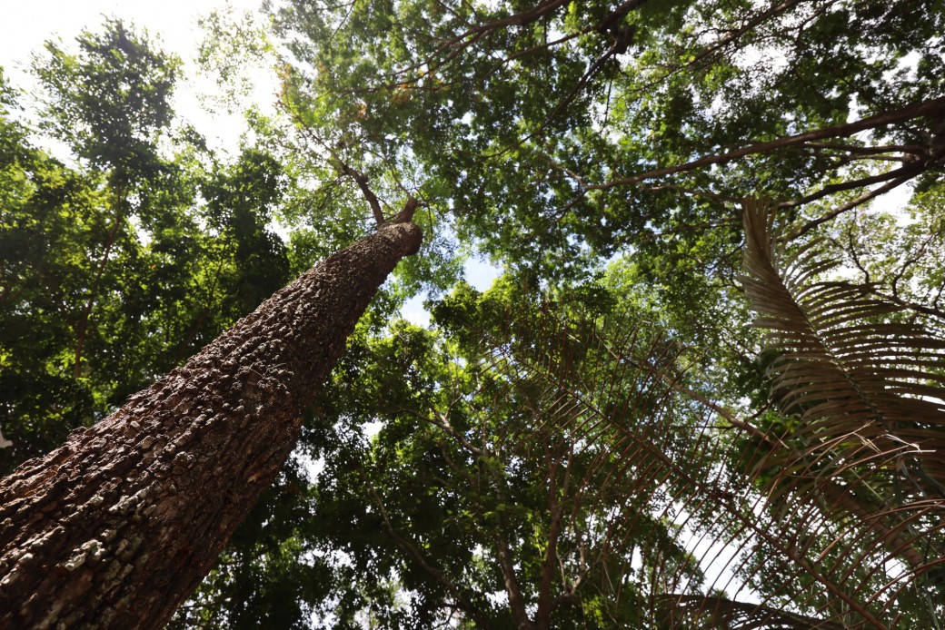 FILE-20250922-1504P2LWKPSNB44L