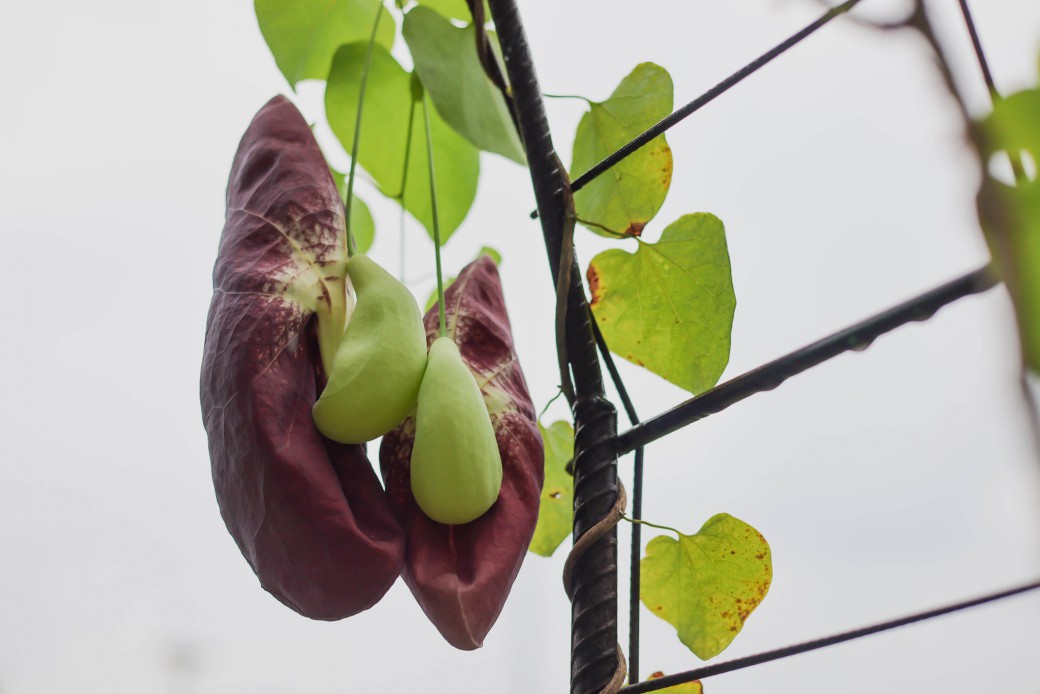 FILE-20250922-15078SNFB4VZD3D7