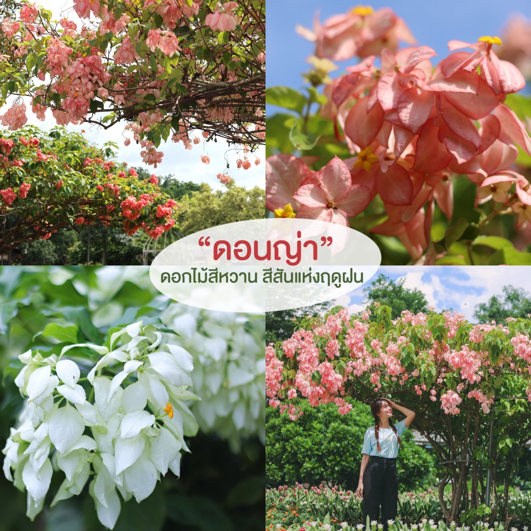 FILE-20250922-1508NMRJYVYER2H8