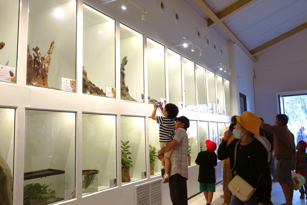 FILE-20250922-1510WV846TXMMTD4