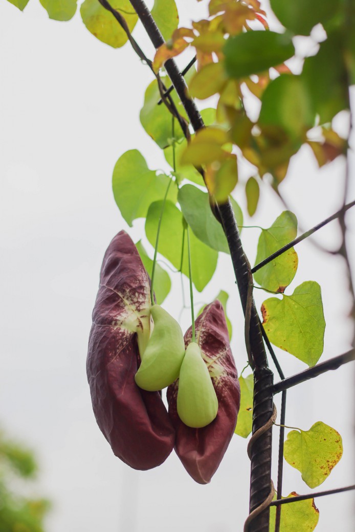 FILE-20250922-1511MJJEX16U5P9Z