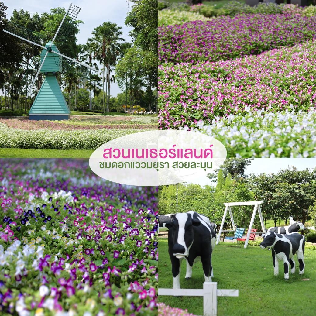 FILE-20250922-1511S75NBZRV2NGV