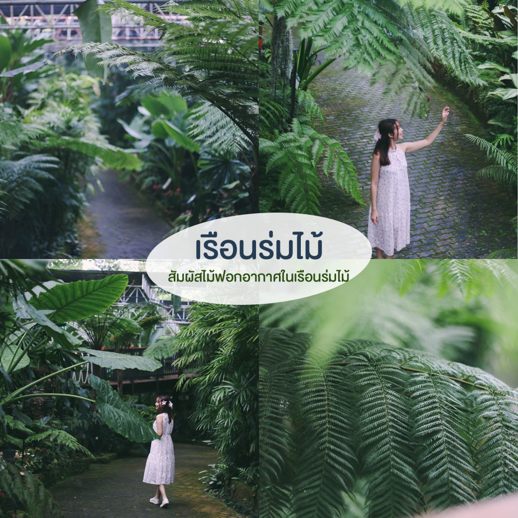 FILE-20250922-1517PAGN1PCRNLGS