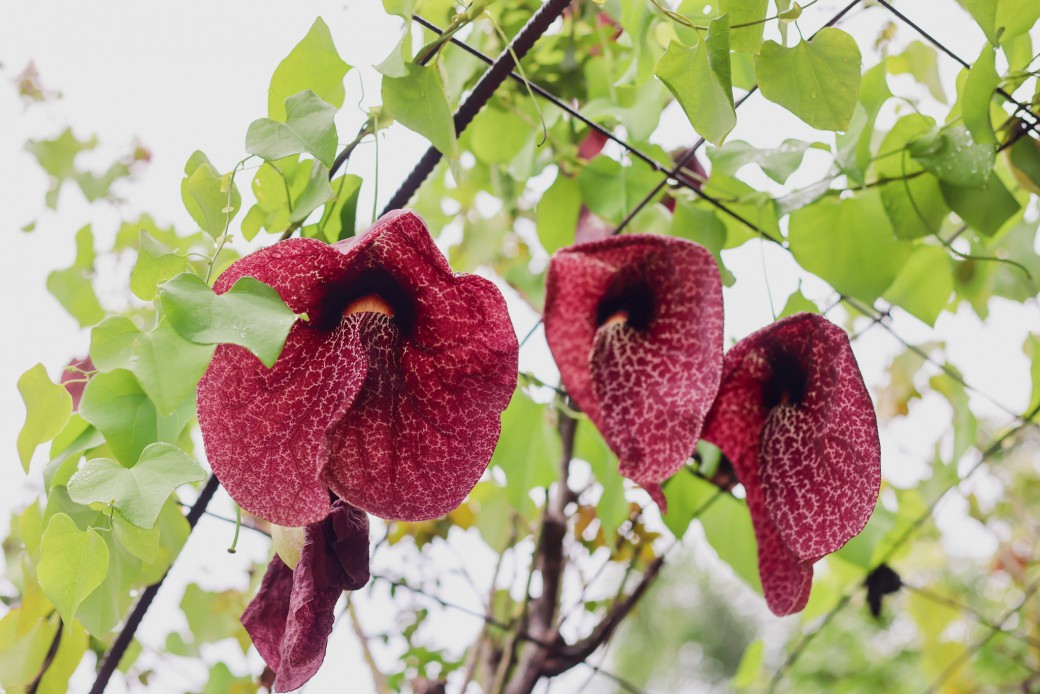 FILE-20250922-1517ZRHYT6UWR2L9