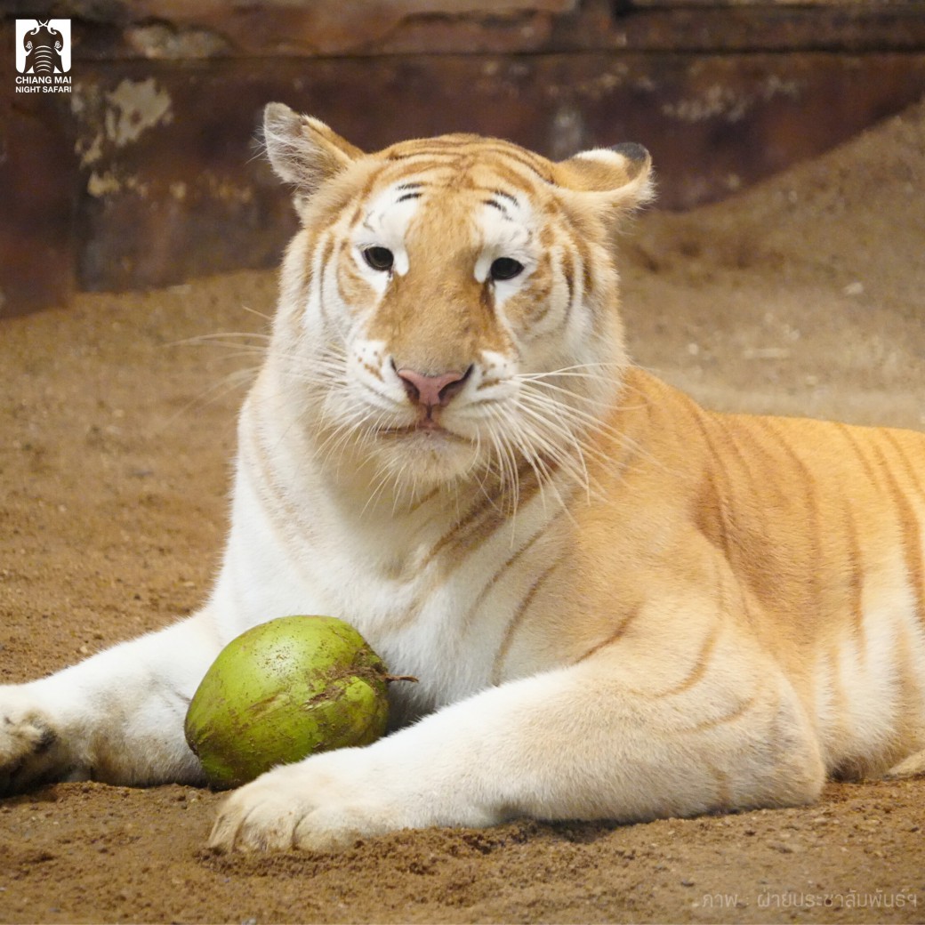 FILE-20250922-152018XFH1WGZW4F