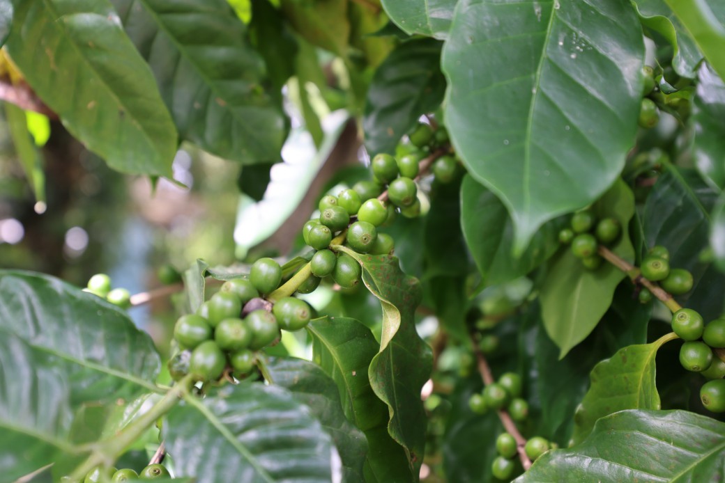 FILE-20250922-1521CJ9HX44HQA22