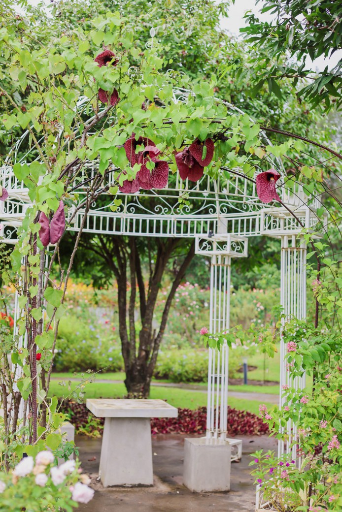 FILE-20250922-1522SR4SSD7DFGMS