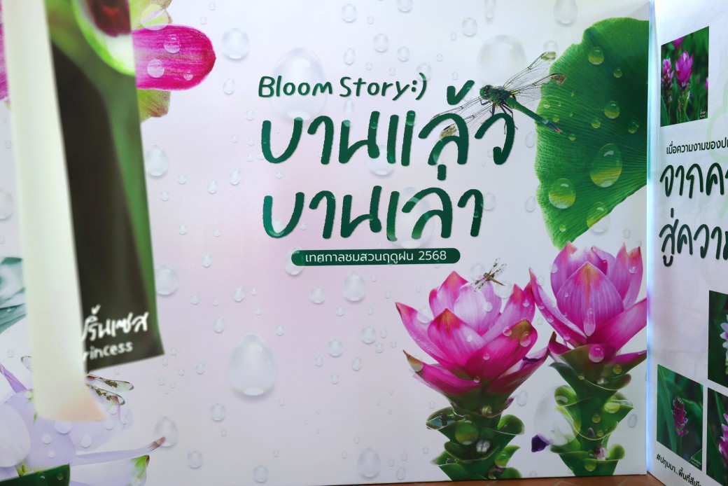 FILE-20250922-15246UL5K9HSGRL4