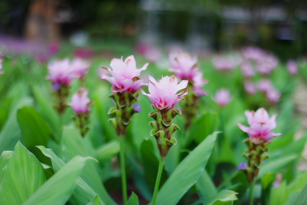 FILE-20250922-15298BL8JA13DYBL