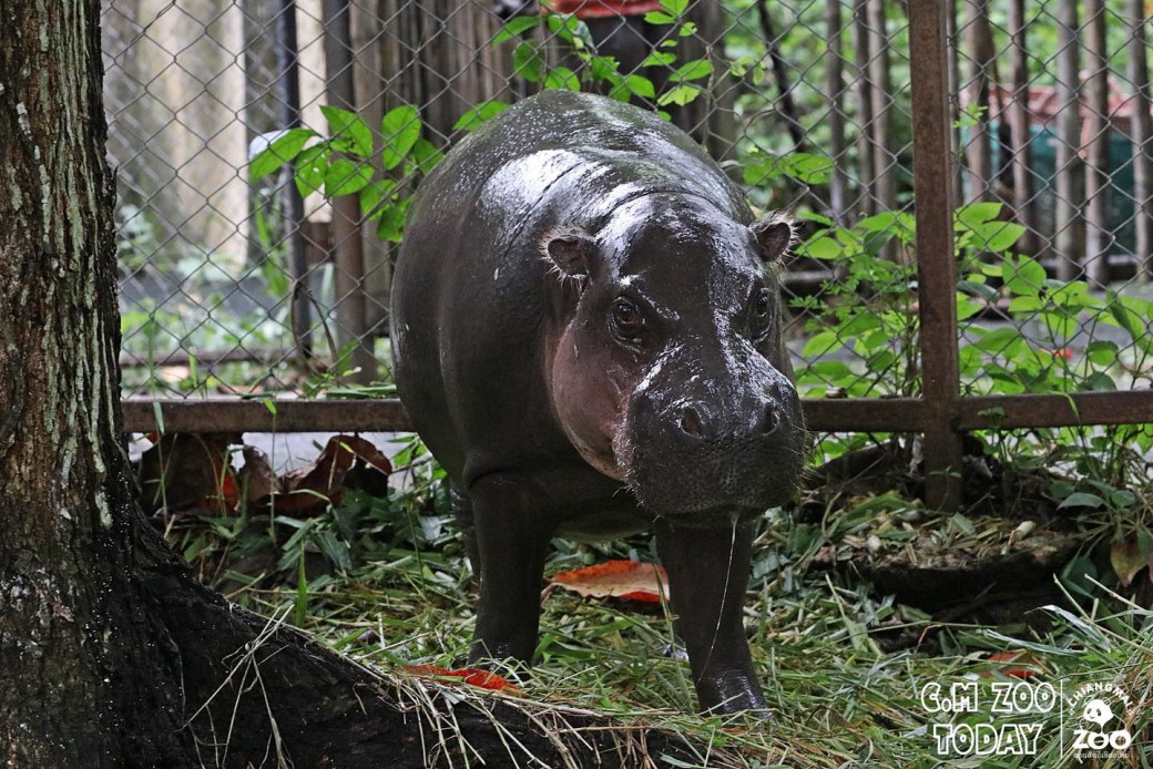 FILE-20250922-1530H2WUUH1R38WT