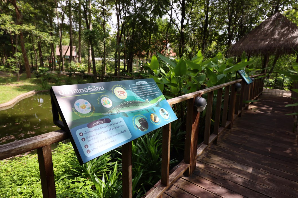 FILE-20250922-1531J73R7H7KVNNN