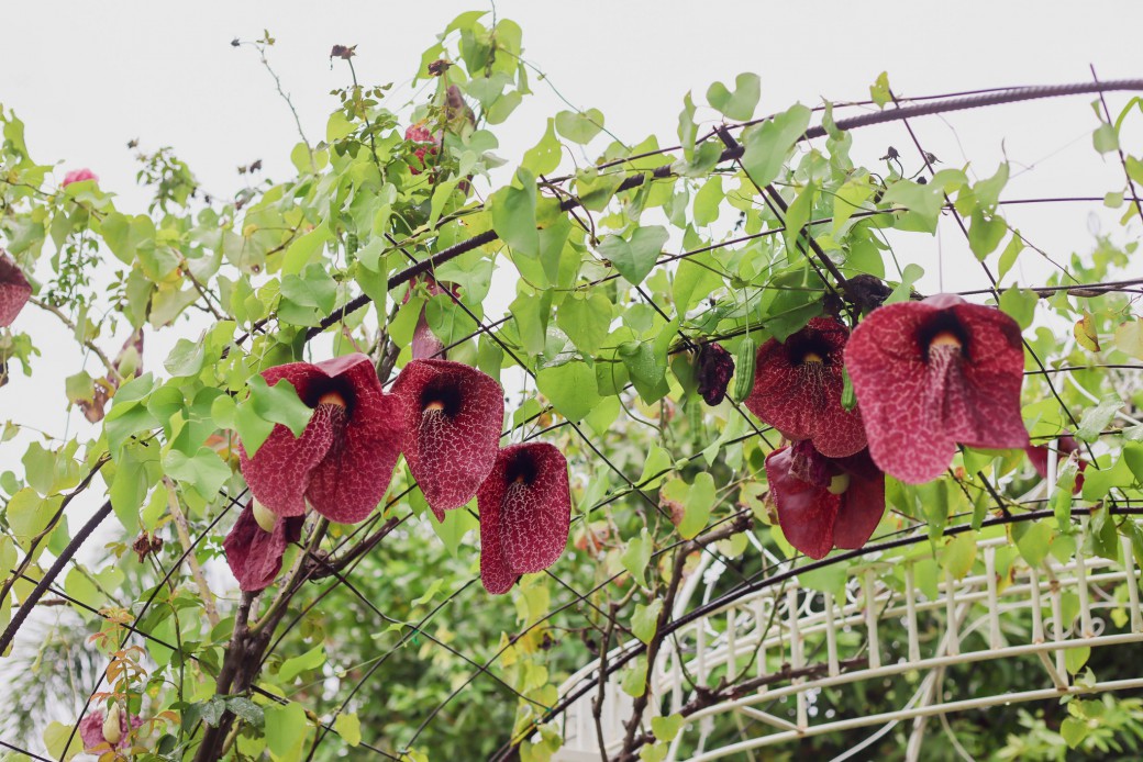 FILE-20250922-1531MKV9ZEPNJTMA