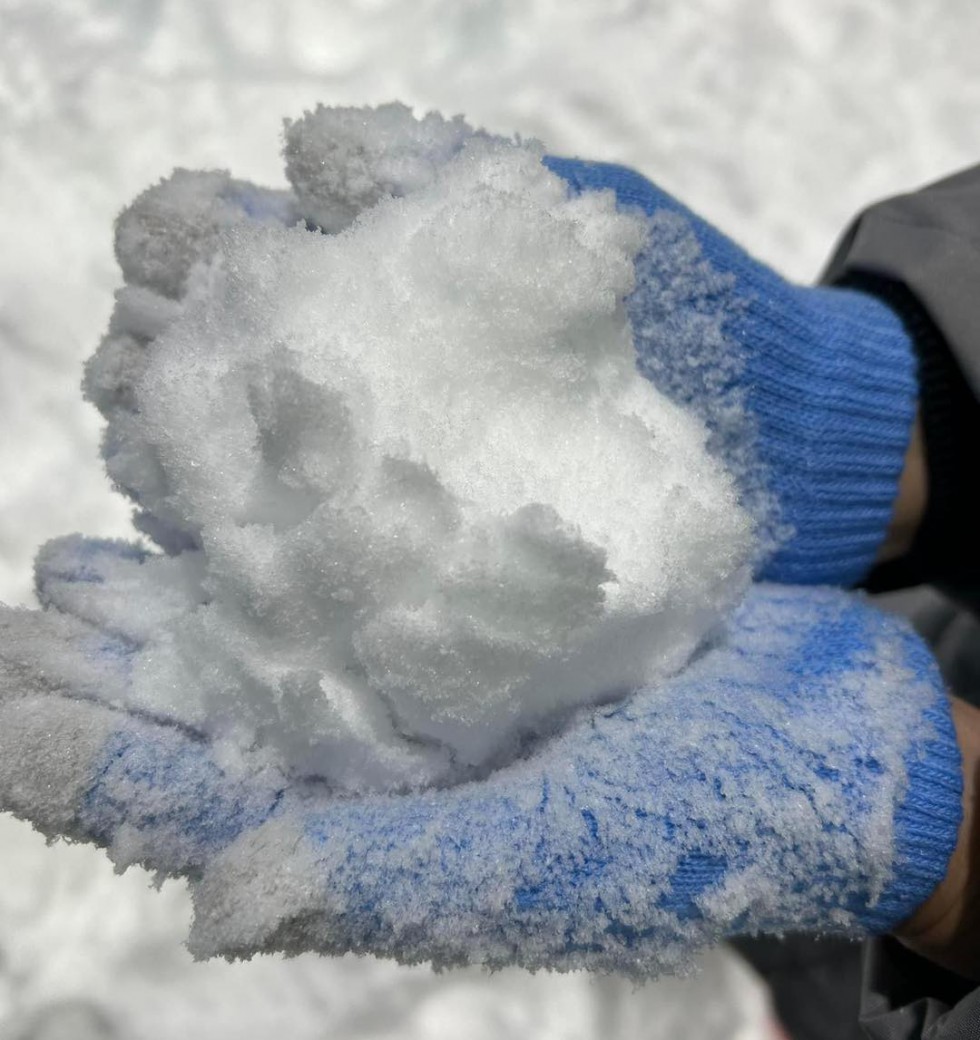 FILE-20250922-1531RT16L26SBB7A