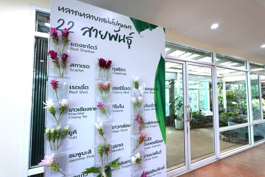 FILE-20250922-15337SUJAA7T92S6