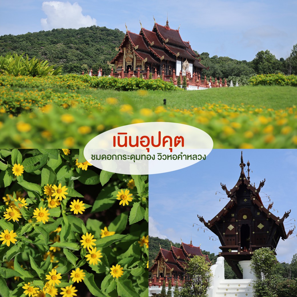 FILE-20250922-15339HC8TG8TFPPT