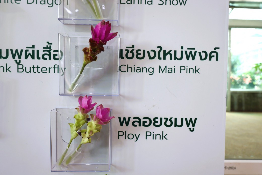 FILE-20250922-153545RZFFSNV87T