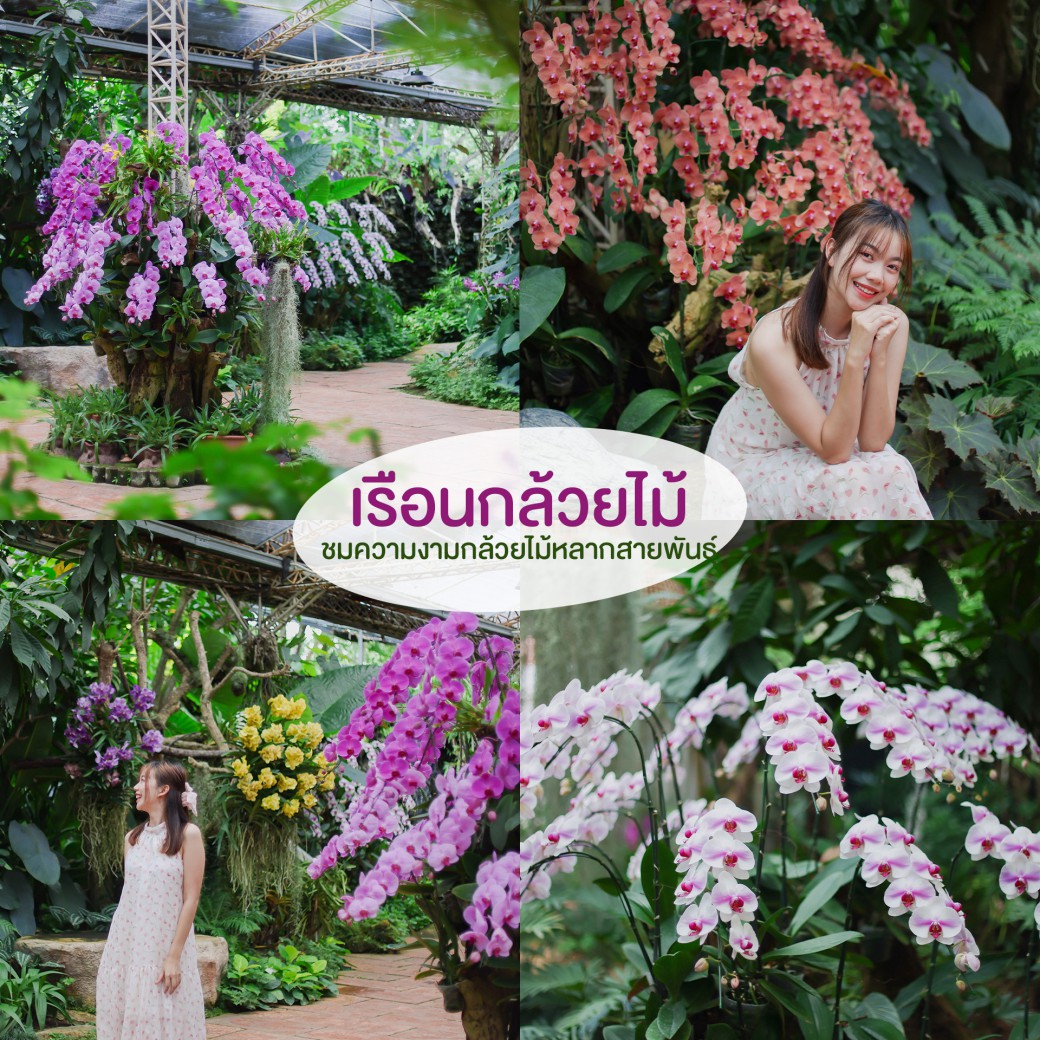 FILE-20250922-1535VH9YSC3K23M5