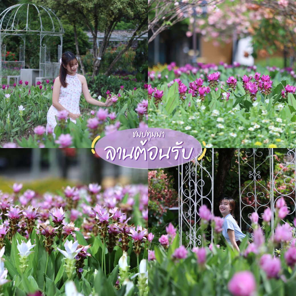 FILE-20250922-1536K94TJG13ULCV