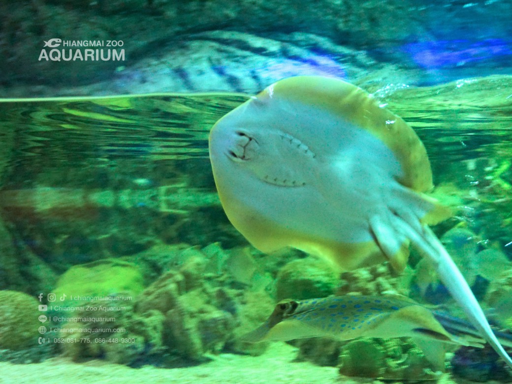 FILE-20250922-1536RPYHVJCJ2X2A