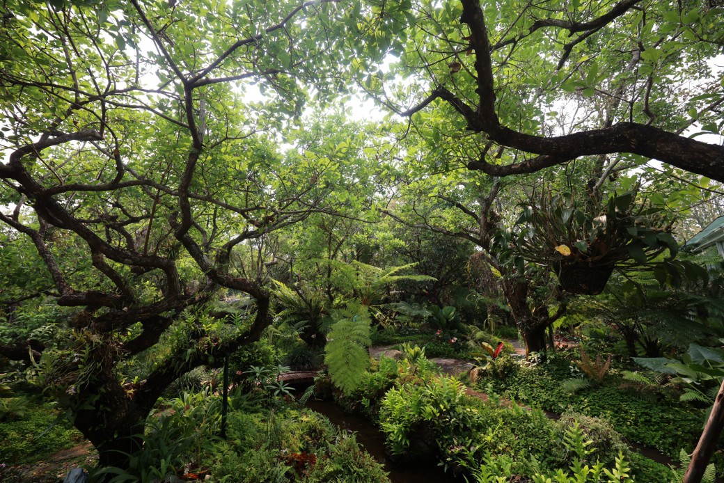 FILE-20250922-15406DY4U5R16MCY