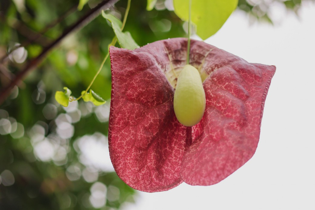 FILE-20250922-1543JRVZ2HGEHJL3