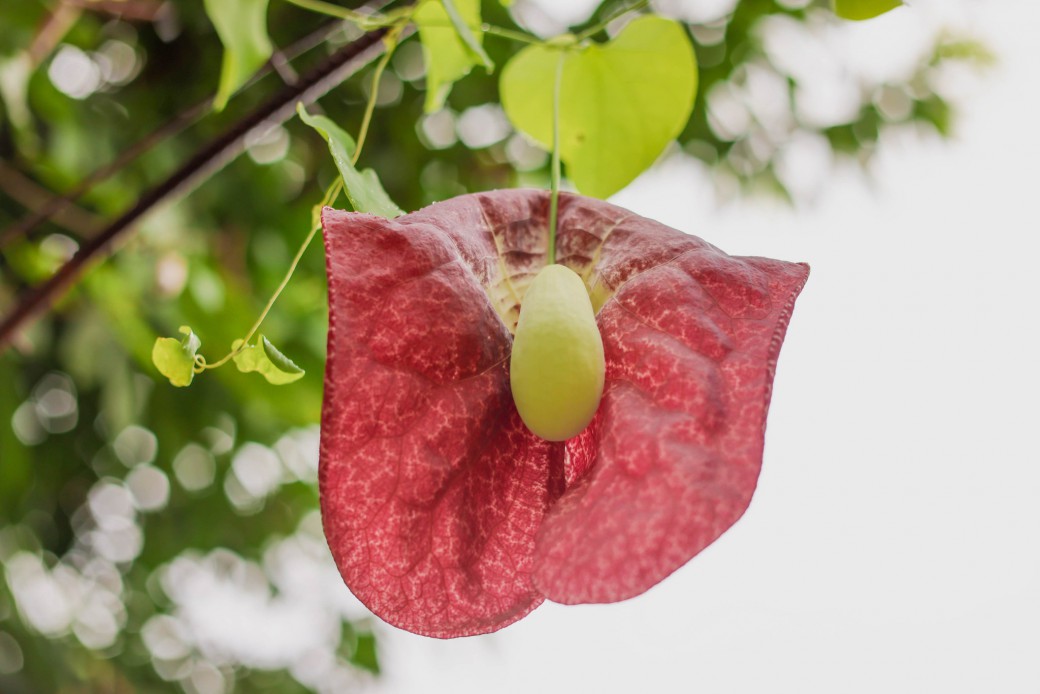 FILE-20250922-1547TV8Y82FBXD22