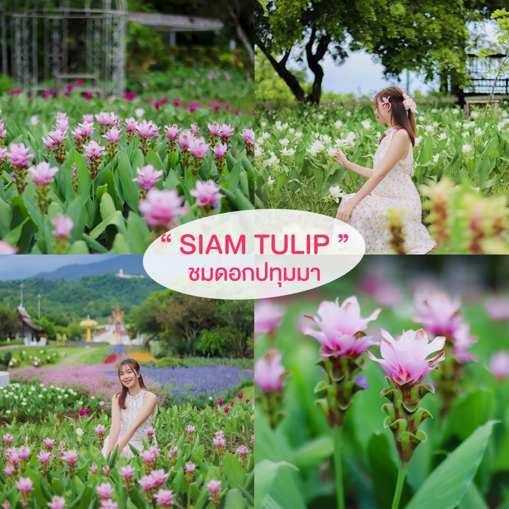 FILE-20250922-154845T8A4TUMNEX