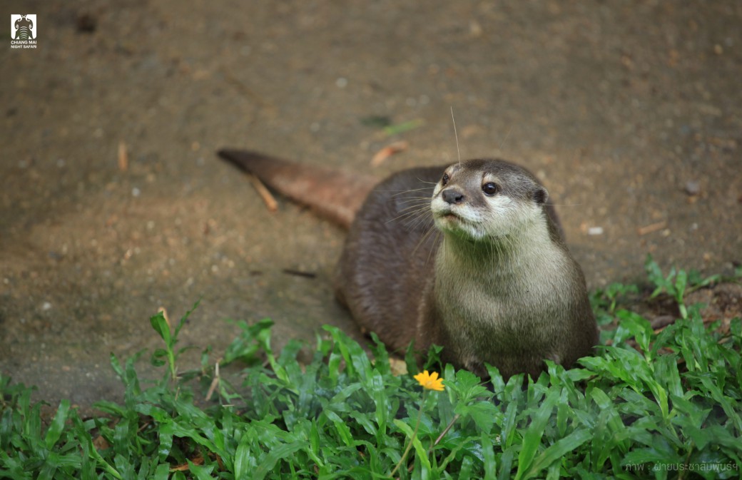 FILE-20250922-15524VPD6CVSKFJM