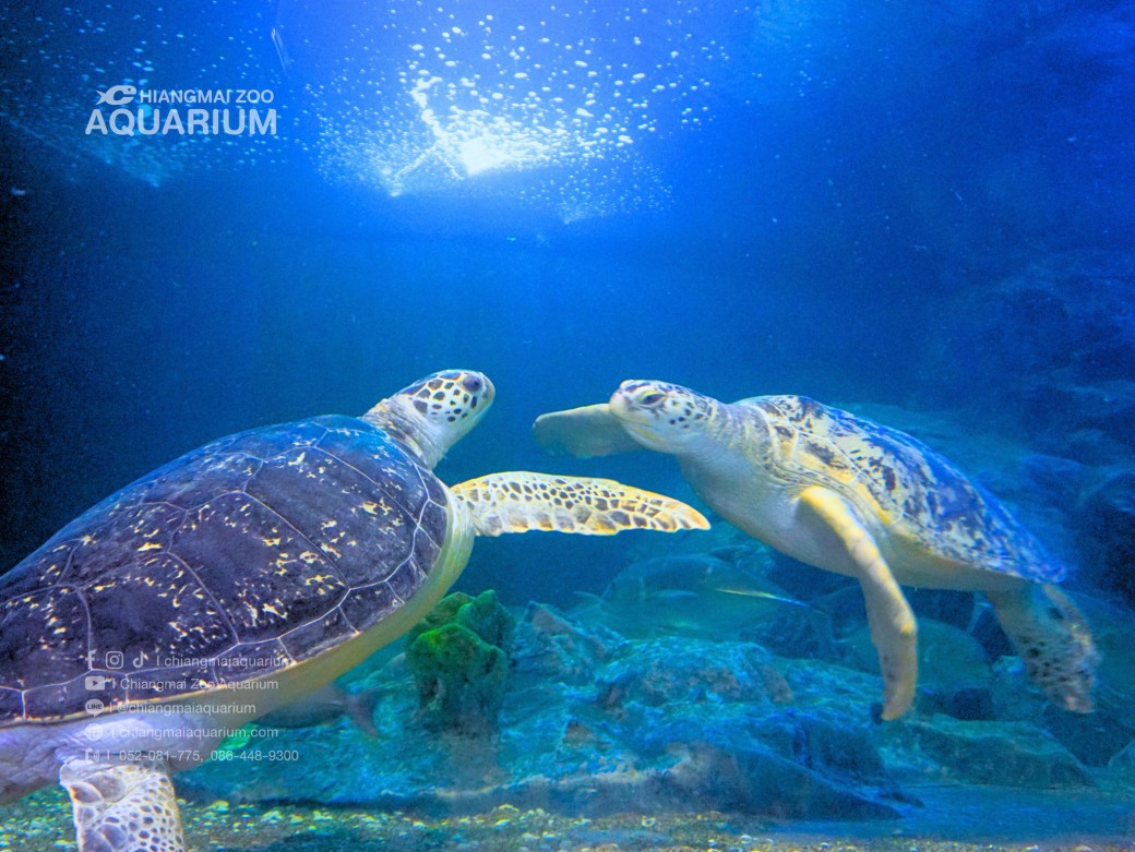 FILE-20250922-1552APMCNK9EU3TY