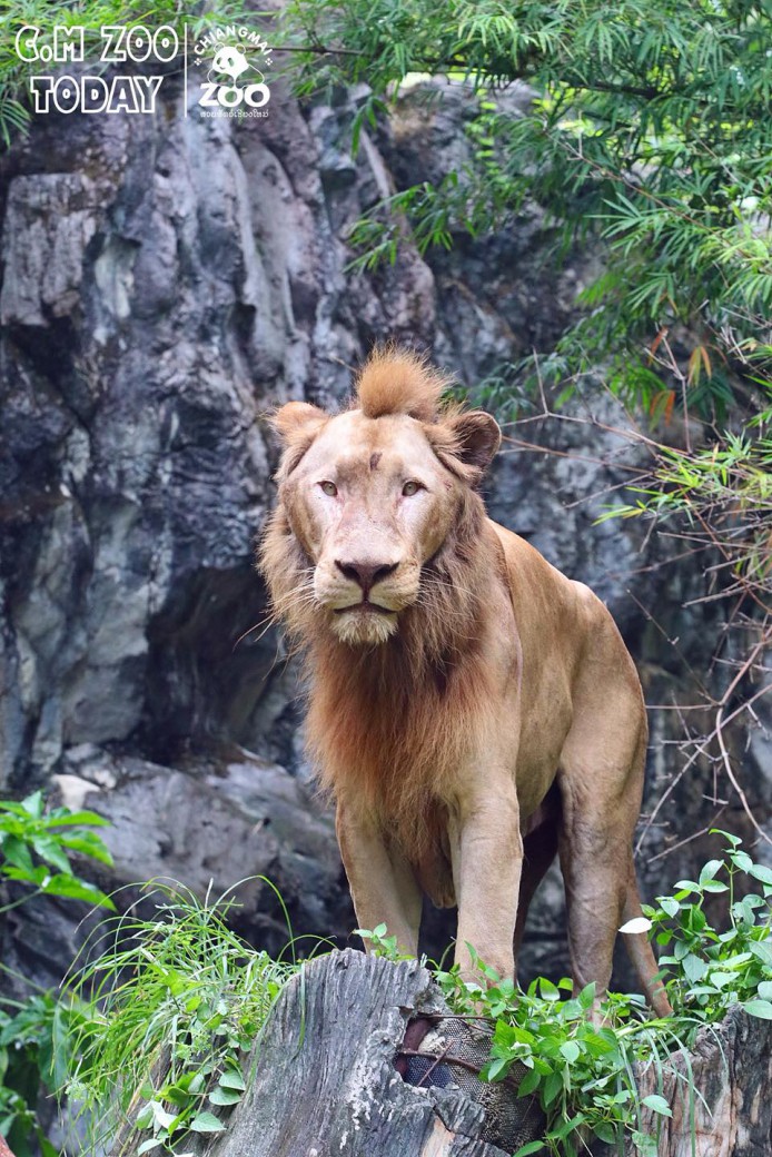 FILE-20250922-1552MBSW5H6ECBCU