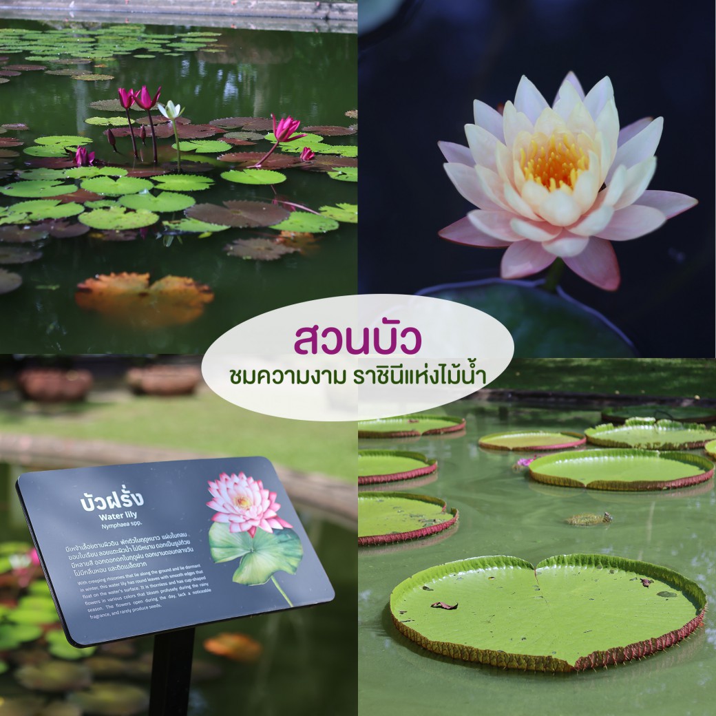 FILE-20250922-15557NGHTUAJD6HN