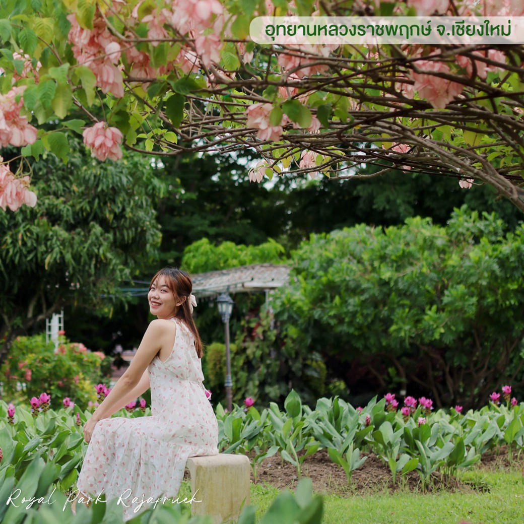 FILE-20250922-15582K8STADBJAK3