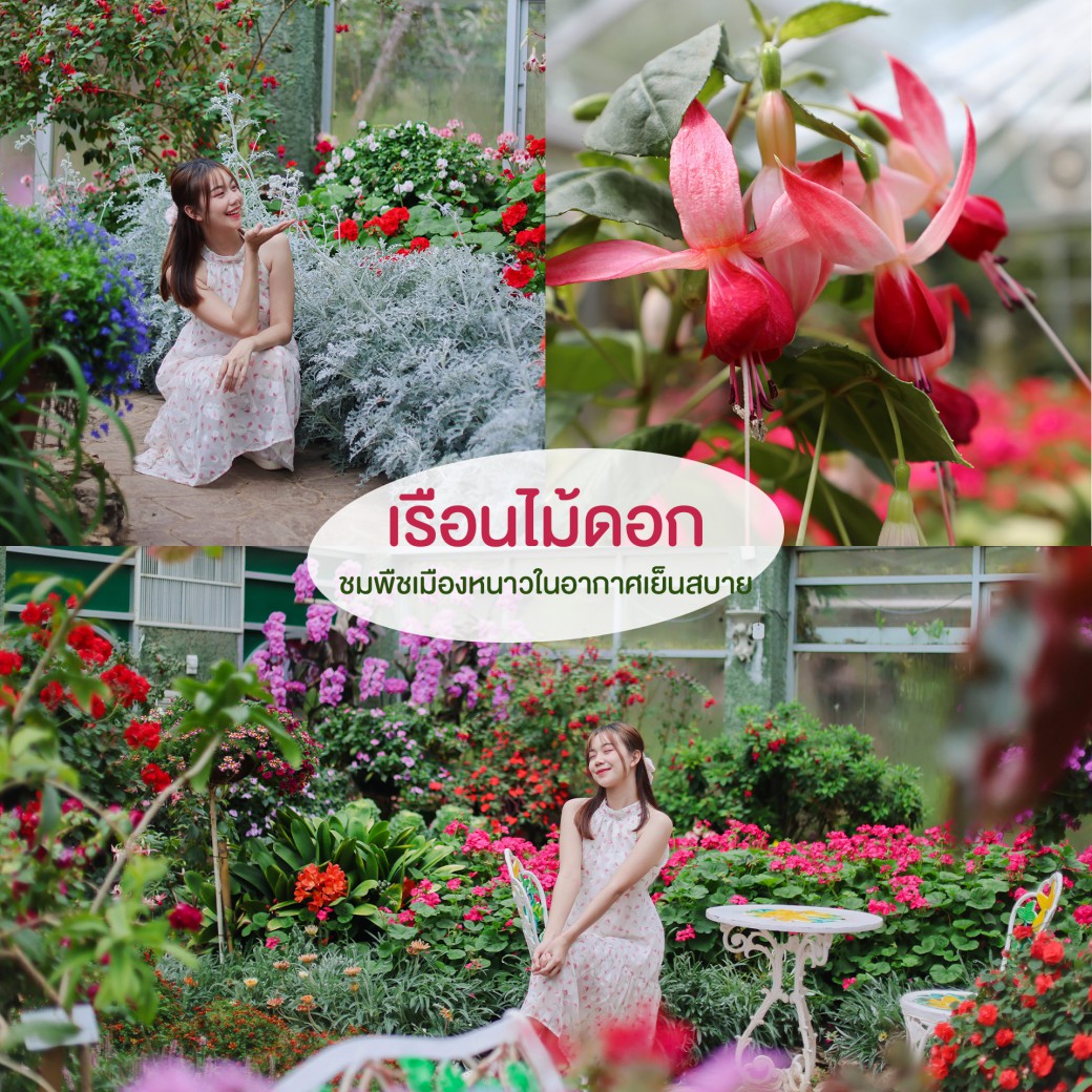 FILE-20250922-1559JPHSXQY76L3J