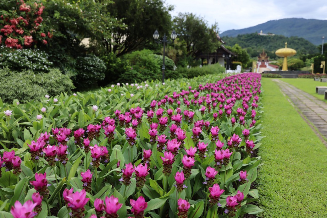 FILE-20250922-1559TD7NDZRZJ17T